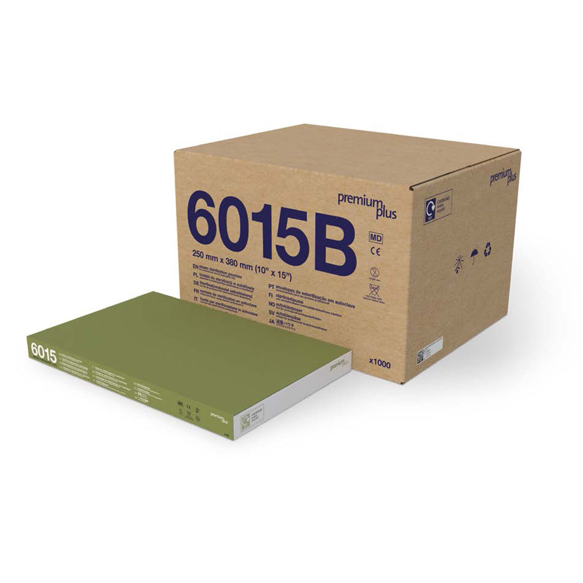 6015B