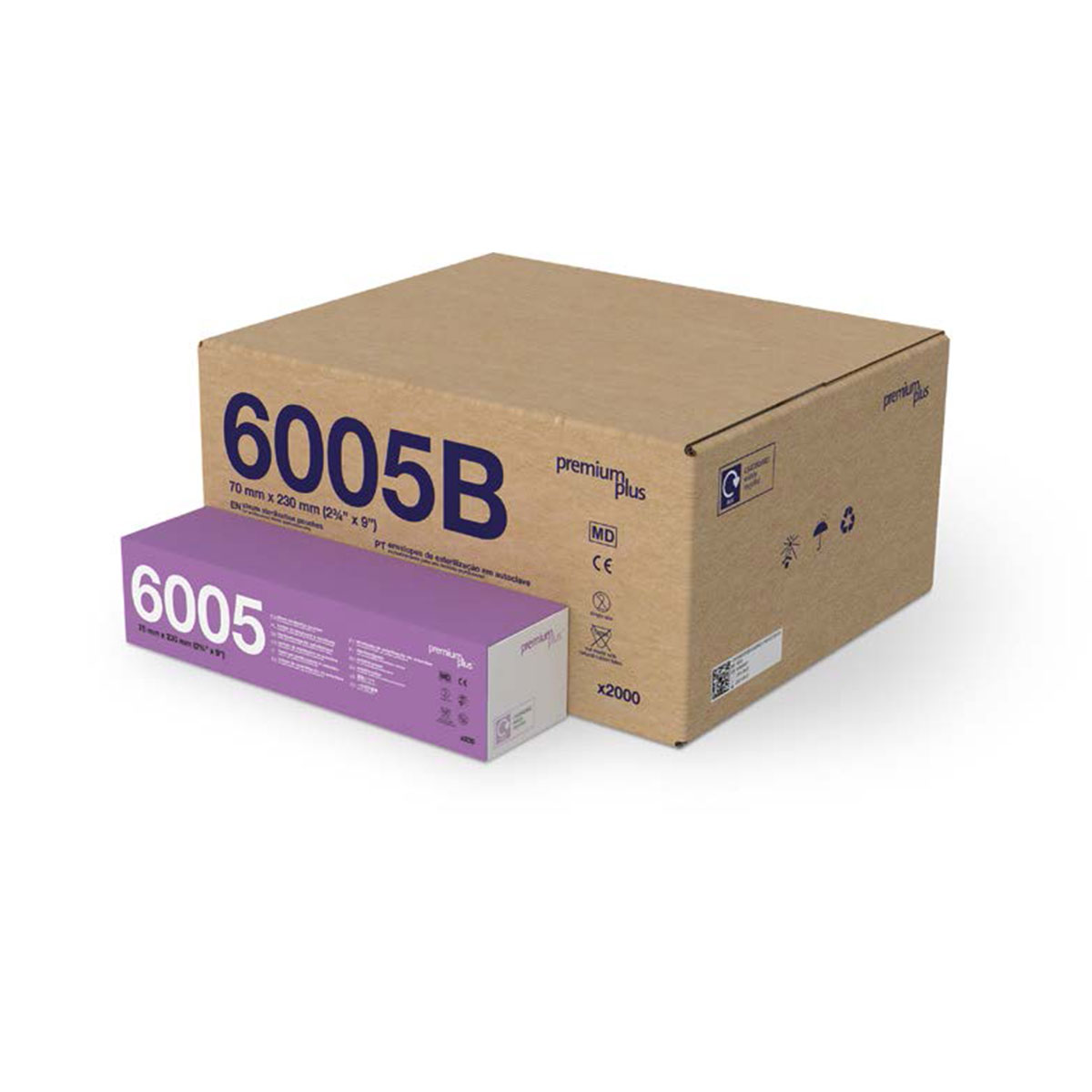 6005B