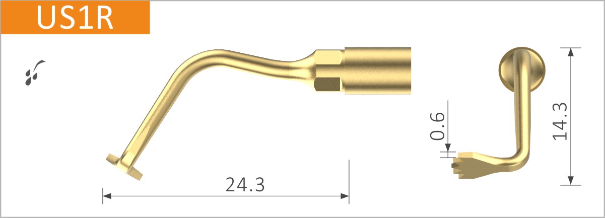 US1R