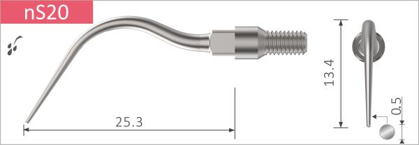 nS20