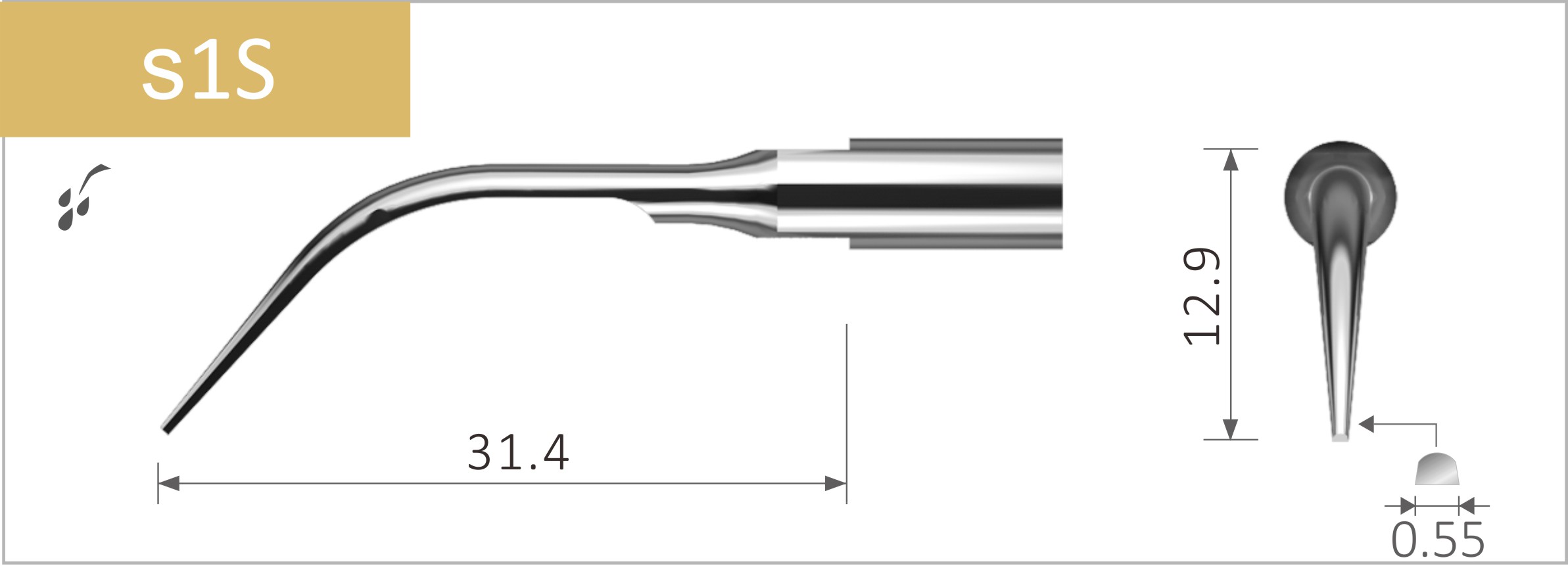 s1S